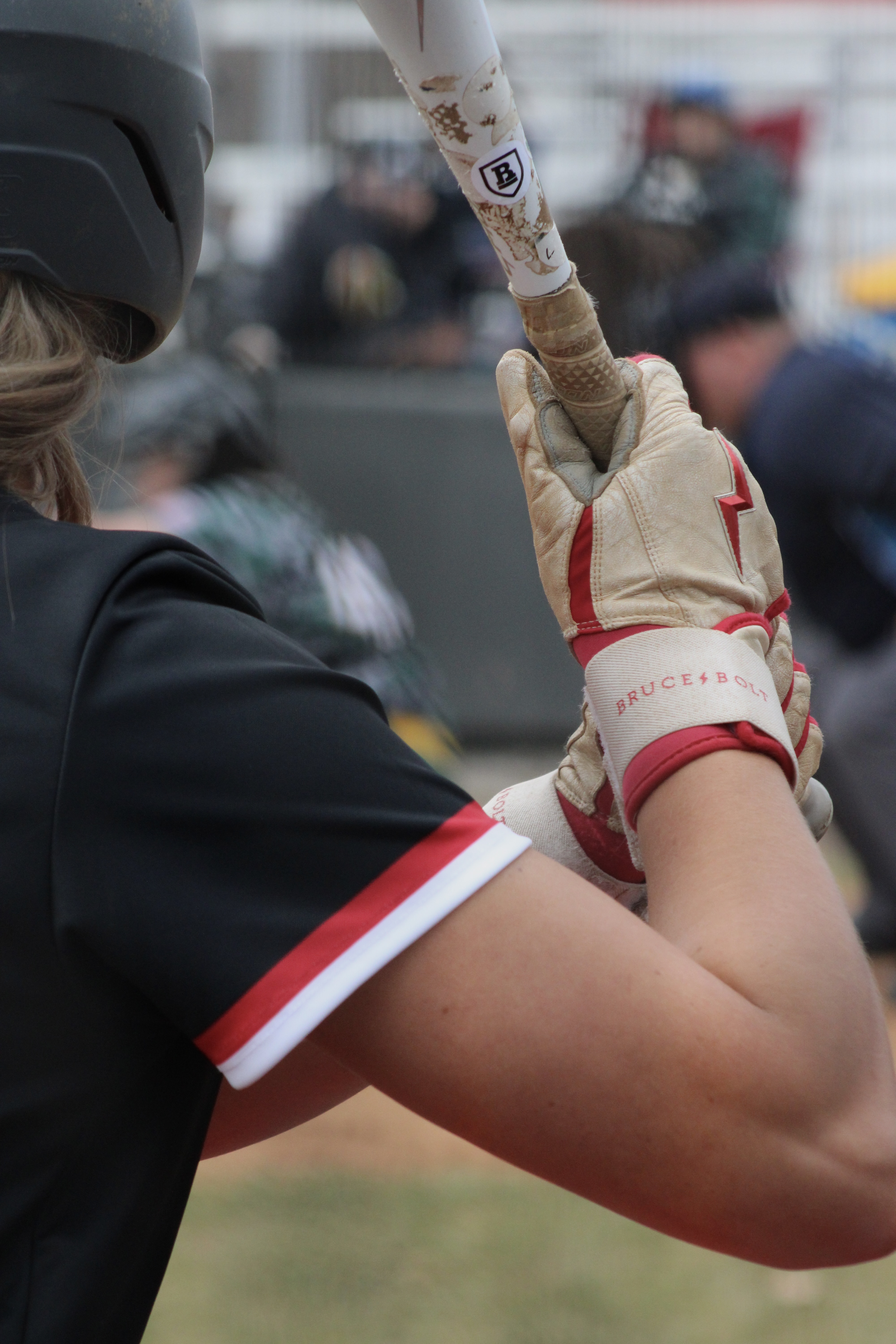 university of lynchburg softball